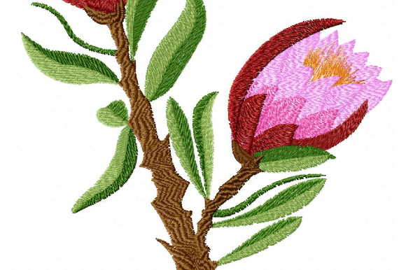 Protea Artichoke: A Seller’s Review for Etsy Success